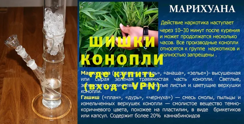 Бошки марихуана THC 21%  где продают наркотики  Гай 